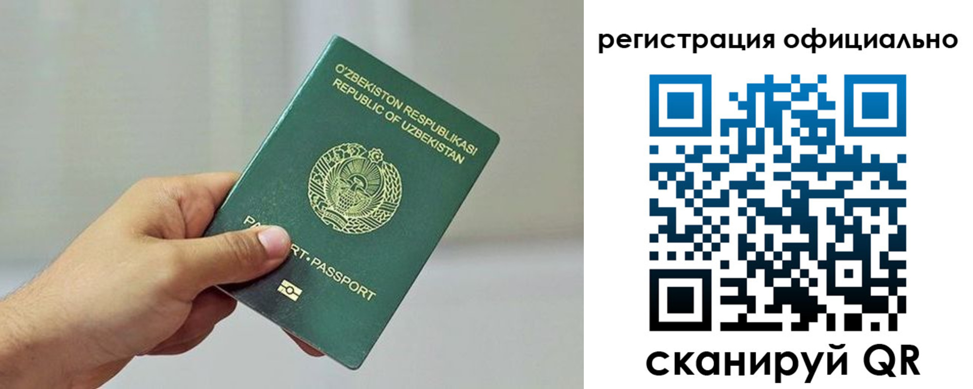 прописка в квартире в Шумихе