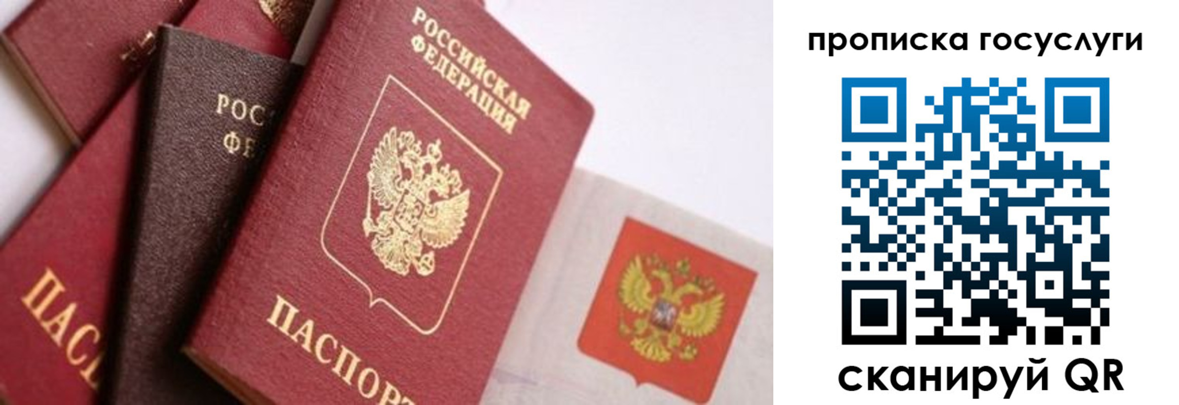 прописка законно в Шумихе